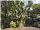 9 Easter Parade, North Avoca NSW 2260