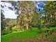 522 The Entrance Rd, Erina Heights NSW 2260