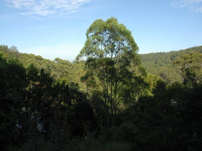 250 Oak Road, Matcham NSW 2250