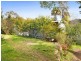 59 Hillside Road, Avoca Beach NSW 2251