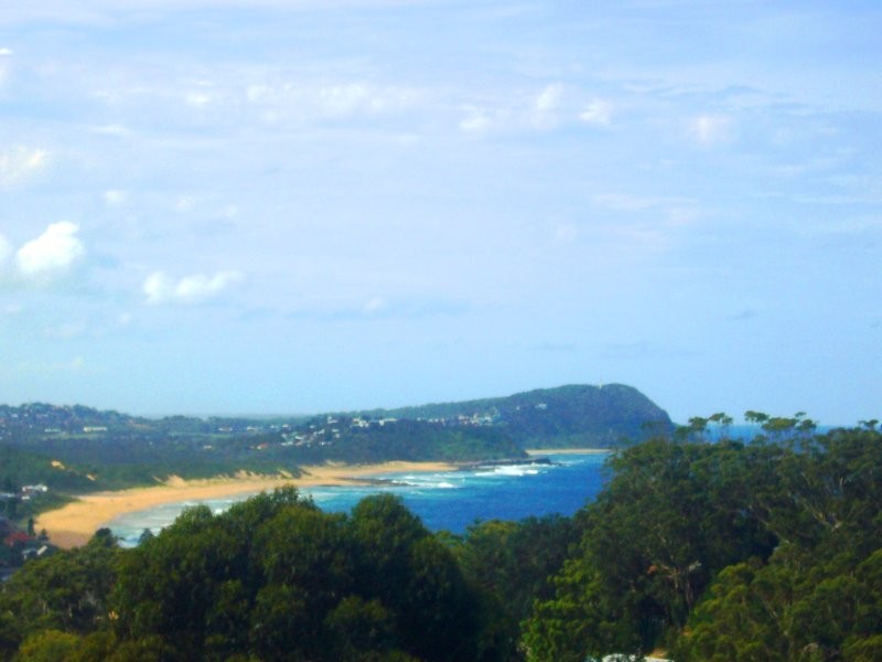 155 Scenic Highway, Terrigal NSW 2260