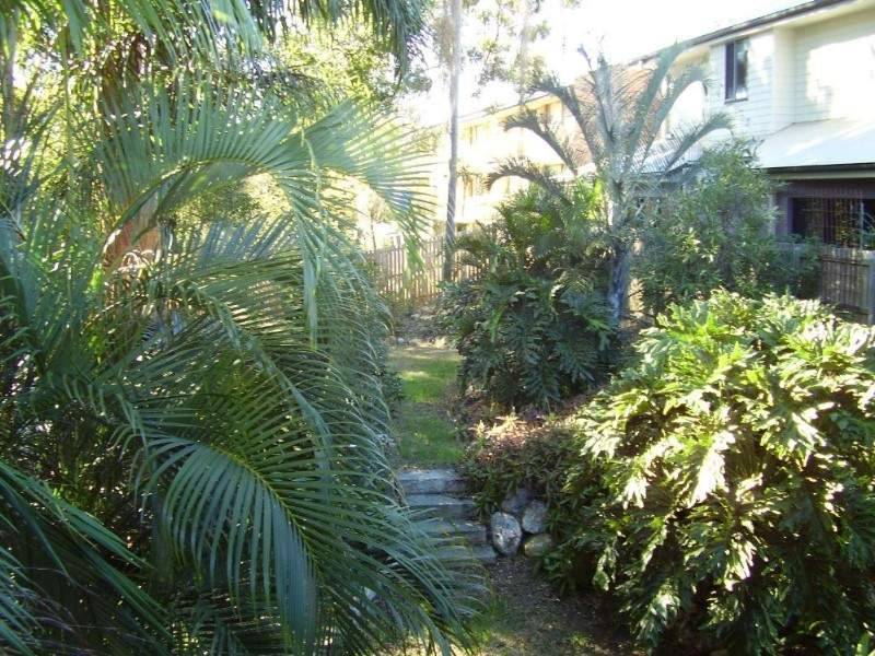 52 Adsett Street, Taringa QLD 4068