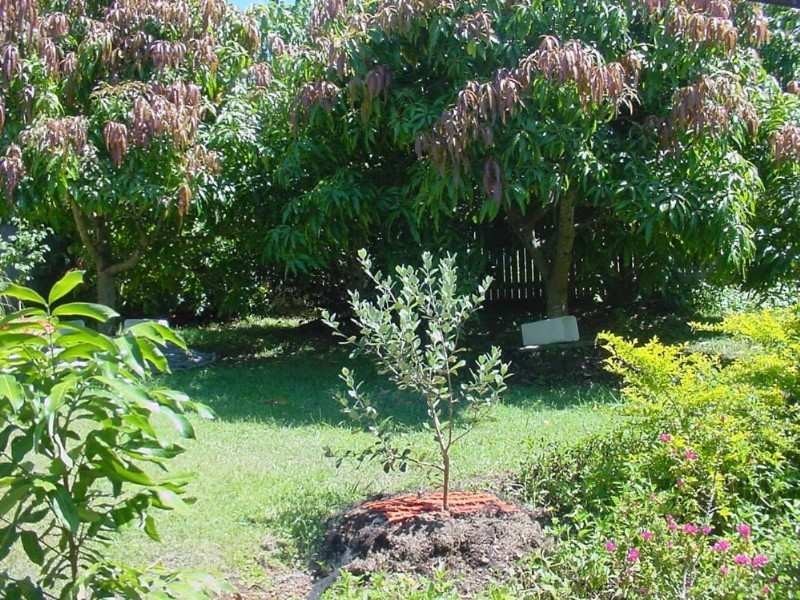 33 Farnworth St, Chapel Hill QLD 4069