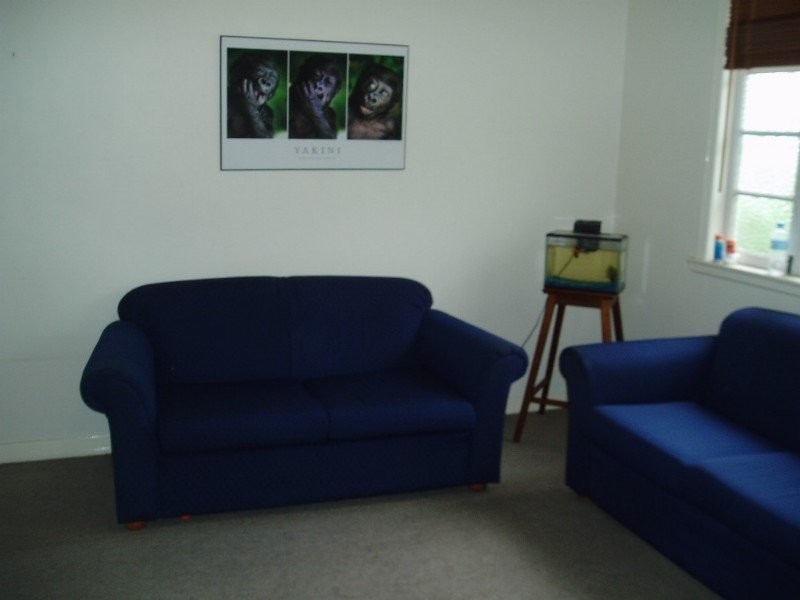 115 Broomfield St, Taringa QLD 4068