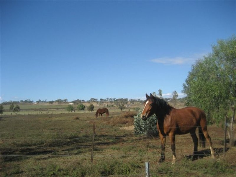 111 Cudmore Road, Cambooya QLD 4358