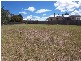 22 Mackenzie Street, Mount Lofty QLD 4350