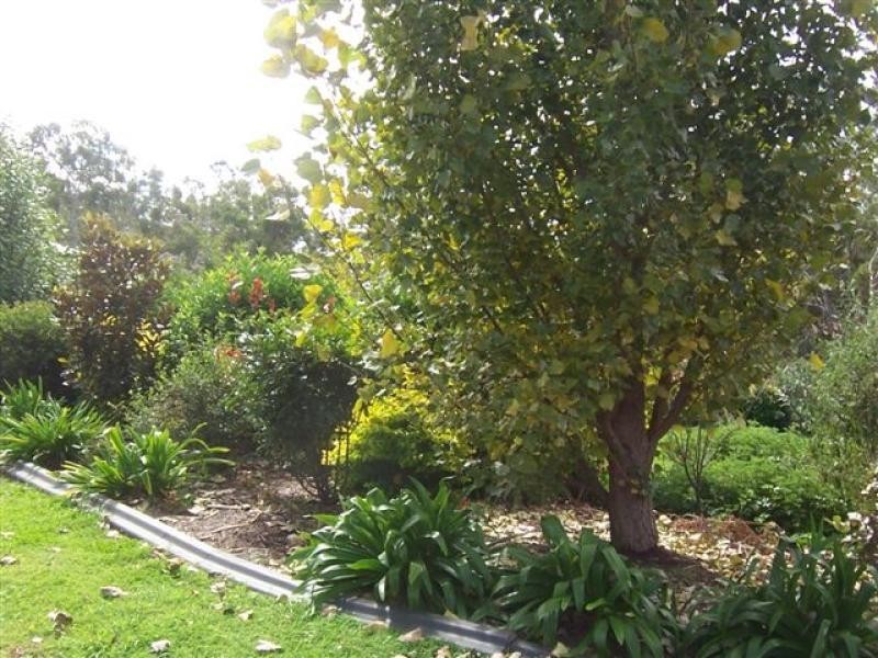 6 Jackson Close, Highfields QLD 4352