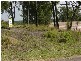10 Claret Ash Close, Toronto NSW 2283