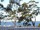 203a Watkins Road, Wangi Wangi NSW 2267