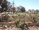 78 Creedon Street, Broken Hill NSW 2880