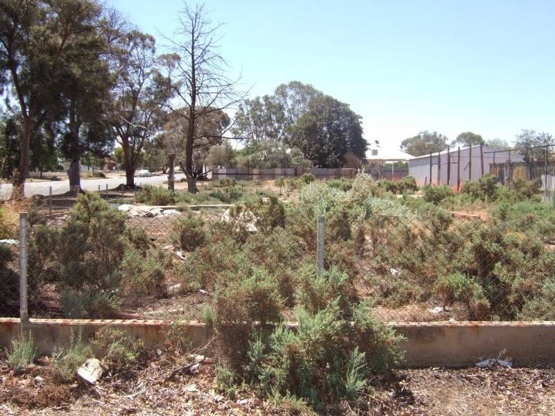 78 Creedon Street, Broken Hill NSW 2880