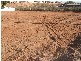 237 Morgan Street, Broken Hill NSW 2880