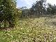 72 Bartholomew St, Lavington NSW 2641