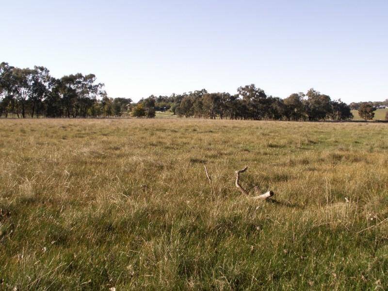 Lot 158 Thomas St, Gerogery NSW 2642