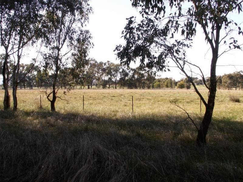 Lot 158 Thomas St, Gerogery NSW 2642