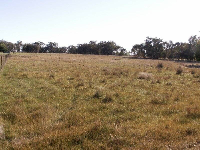 Lot 158 Thomas St, Gerogery NSW 2642