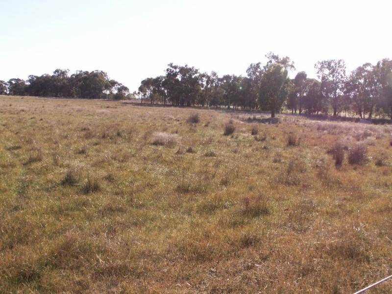 Lot 158 Thomas St, Gerogery NSW 2642