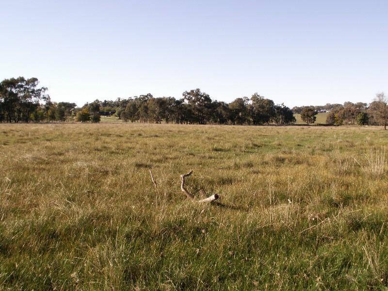 Lot 158 Thomas St, Gerogery NSW 2642