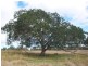 Pine Creek QLD 4670