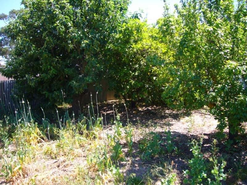 24 Railway Terrace, Coonalpyn SA 5265