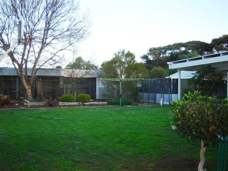 24 Todd Avenue, Murray Bridge SA 5253