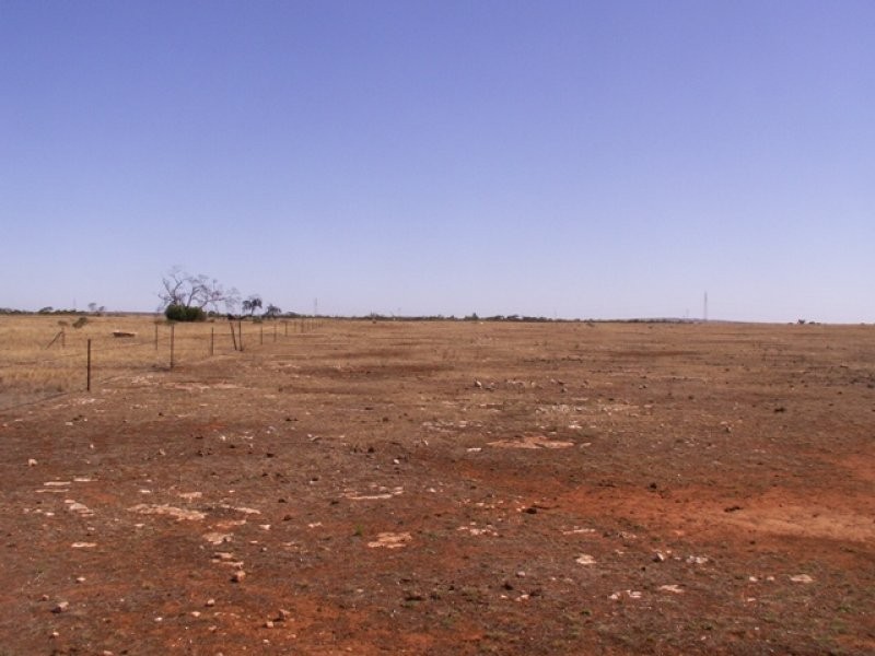 Lot 382 Cnr Lomandra and Kowald Road, Tailem Bend SA 5260