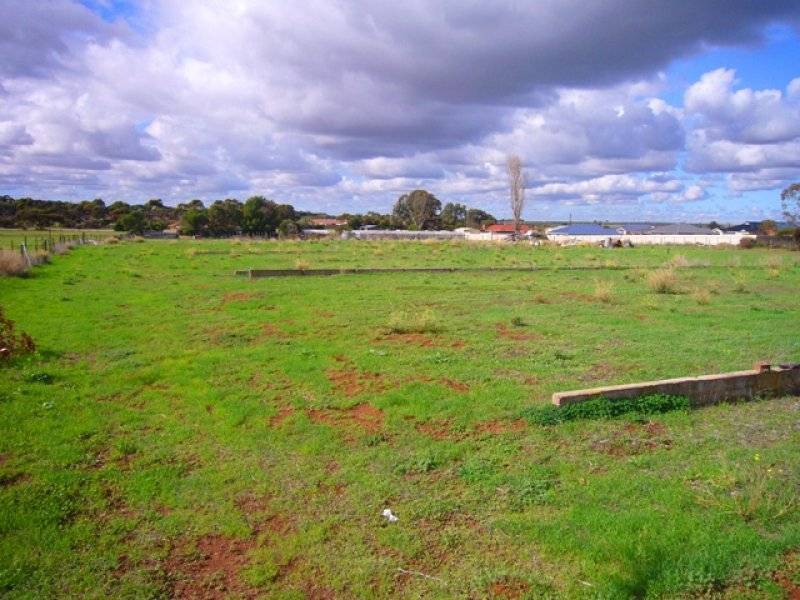 57 McQuarrie Street, Murray Bridge SA 5253