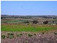 Lot 358 Jervois Road, Woods Point SA 5253