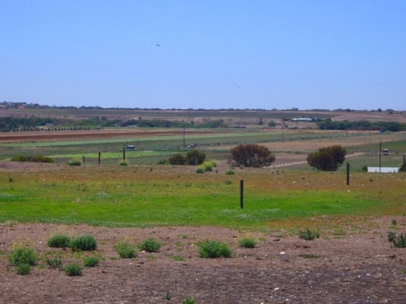 Lot 358 Jervois Road, Woods Point SA 5253