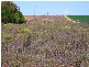Lot 358 Jervois Road, Woods Point SA 5253