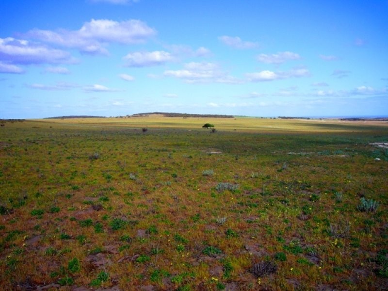 Lot 4 Hillsview Road, Monarto SA 5254