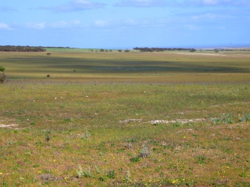 Lot 4 Hillsview Road, Monarto SA 5254