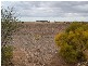 Lot 54 Magpie Road, Tailem Bend SA 5260