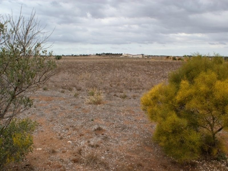 Lot 54 Magpie Road, Tailem Bend SA 5260