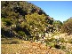 Lot 232 Tungkillo, Tungkillo SA 5236