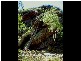 Lot 232 Tungkillo, Tungkillo SA 5236