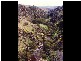 Lot 232 Tungkillo, Tungkillo SA 5236