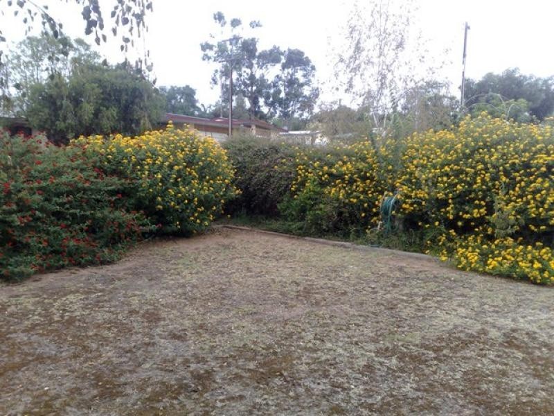 14 Elm Avenue, Murray Bridge SA 5253