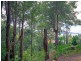 29 Ascot Avenue, Avoca Beach NSW 2251