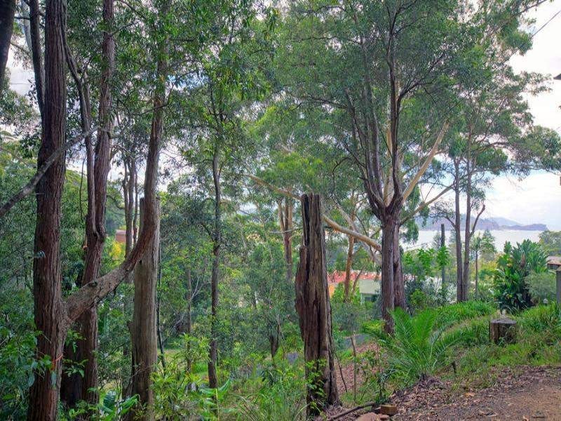 29 Ascot Avenue, Avoca Beach NSW 2251