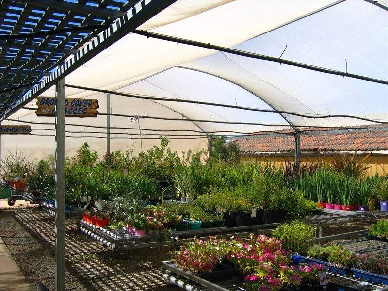 61 Fenton Place, Wongan Hills WA 6603