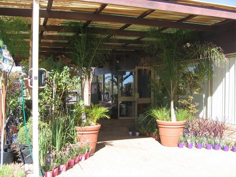 61 Fenton Place, Wongan Hills WA 6603