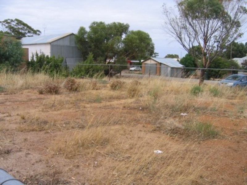 26 Elphin Crescent, Wongan Hills WA 6603