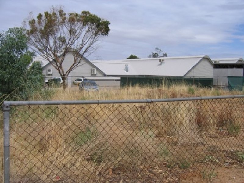 26 Elphin Crescent, Wongan Hills WA 6603