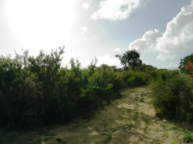 34 SAPPERS, Nilgen WA 6044