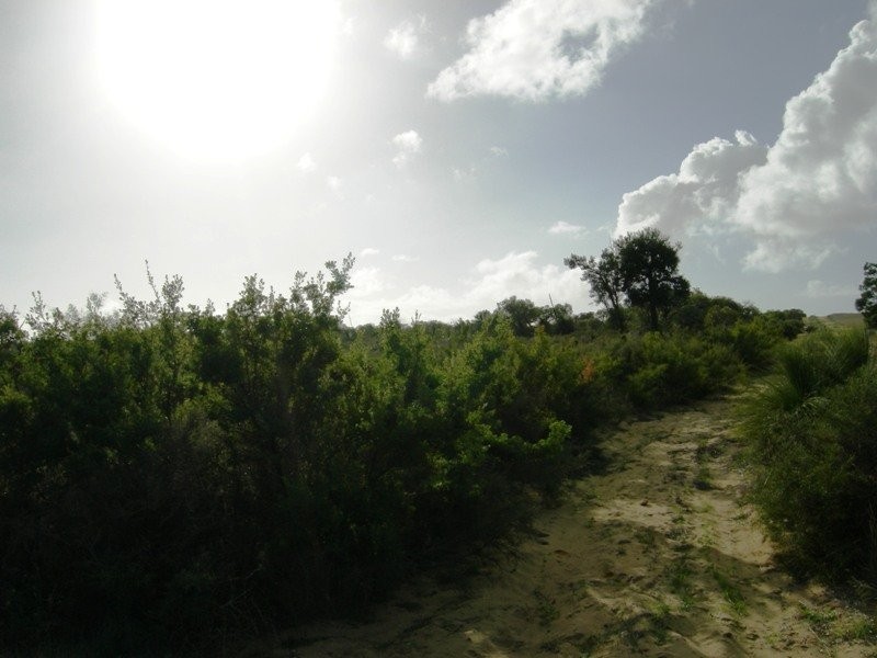 34 SAPPERS, Nilgen WA 6044