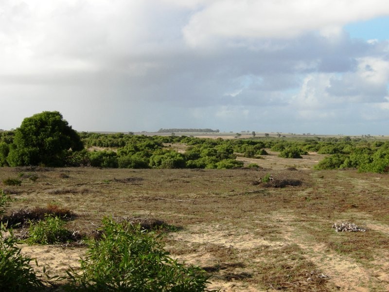 33 Sappers, Nilgen WA 6044