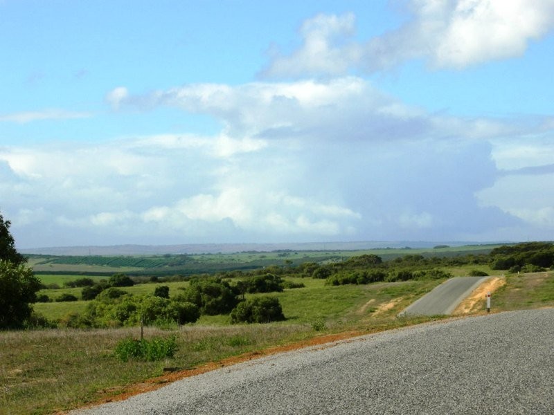 347 Hakea, Nilgen WA 6044