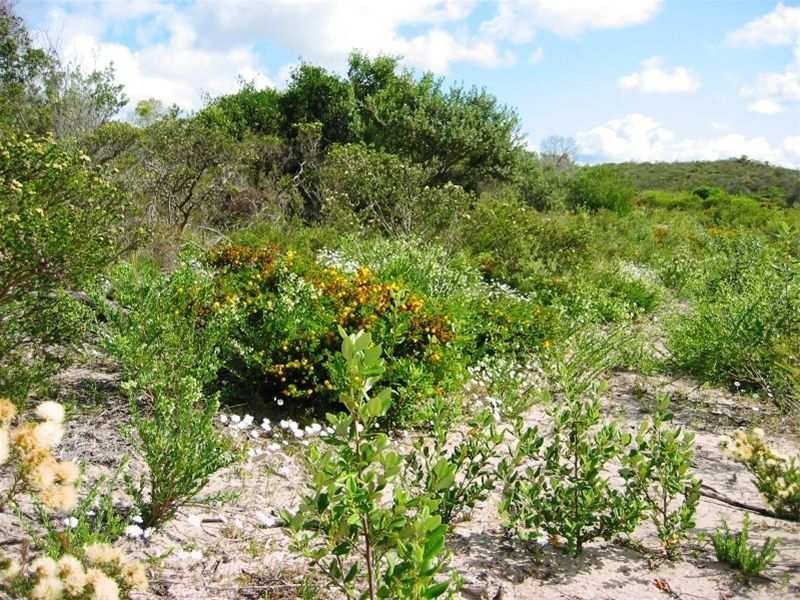 272 Seaview Drive (Karakin), Lancelin WA 6044