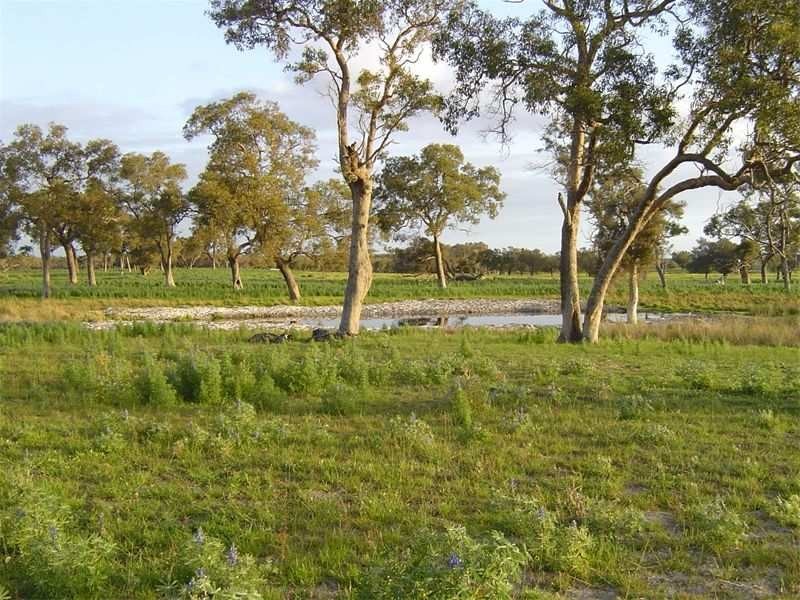 1044 Gingin Brook Road (Muckenburra), Gingin WA 6503